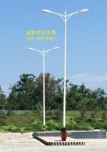 成南高速服務區路燈桿